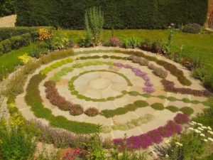 Floral Labyrinth