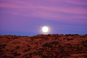 Moonrise Desert