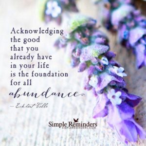 Gratitude - Abundance