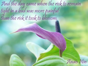 Anais Nin - Blossom - Purple