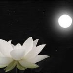 Full Moon - Flower